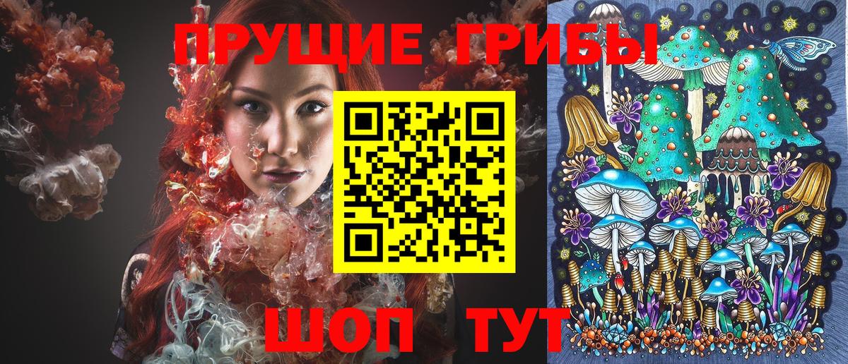 Амурск  Галлюциногенные грибы Psilocybe  Вход с VPN  Псилоцибиновые грибы Psilocybine cubensis 