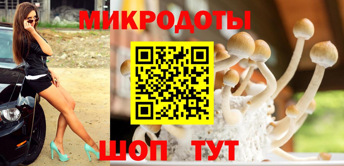 Псилоцибиновые грибы Magic Shrooms Амурск